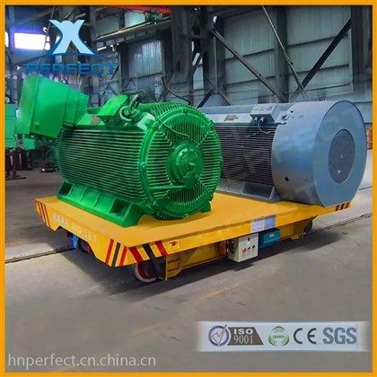 Visoko{0}}kakovostni skladiščni vozički po meri: prenos rastlin